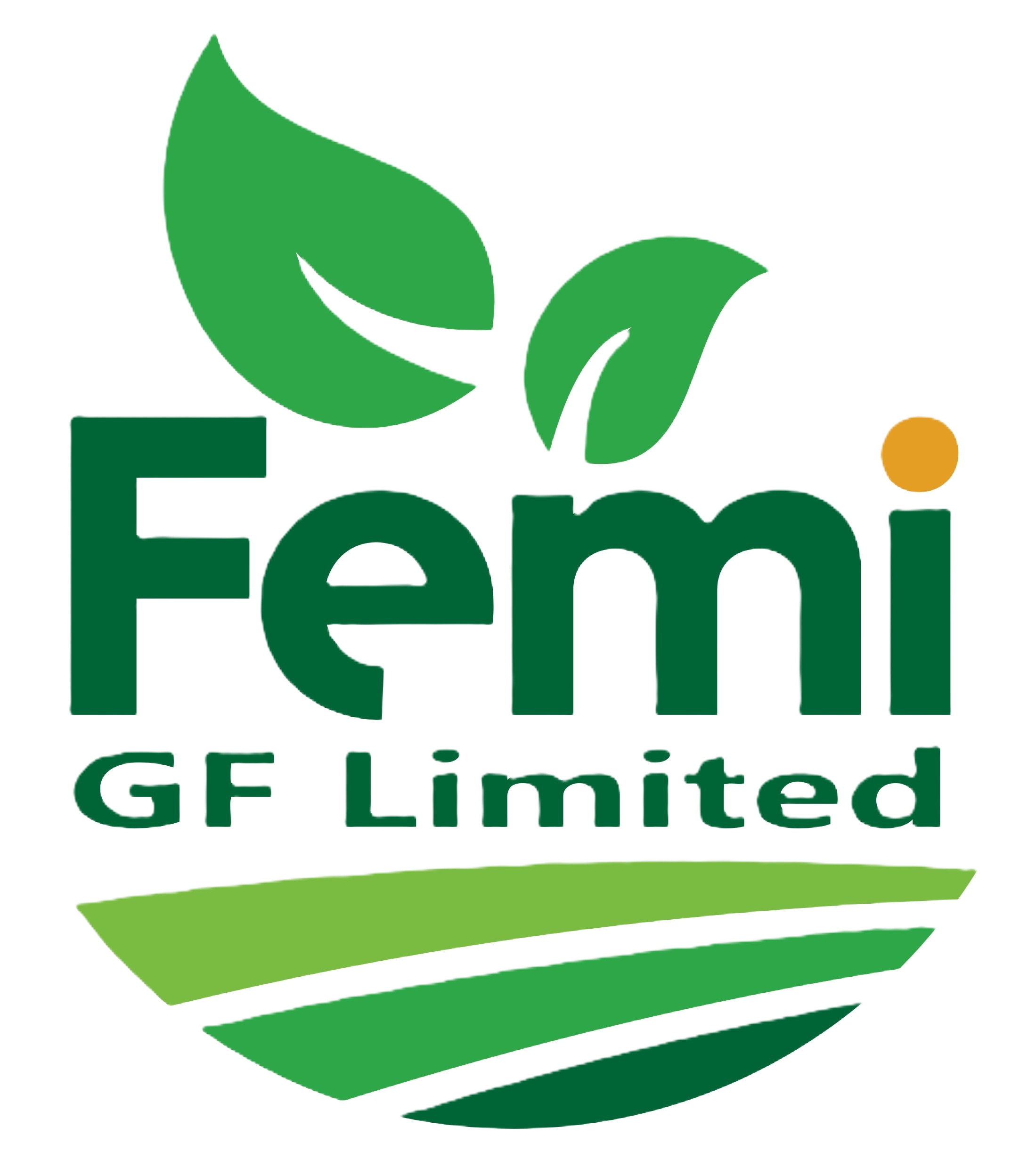 FEMI GOD'S FAVOUR Logo